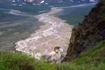 Alaska-2012-013