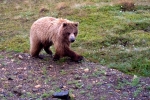 Alaska-2012-018