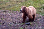 Alaska-2012-019