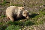 Alaska-2012-076