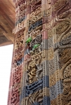 Parakeets at Qutab Minar