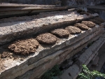 Cowpies drying