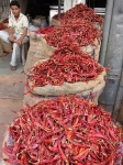 Young man selling peppers