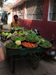 Man sells vegetables door-to-door