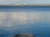 Geyser at Lake Yellowstone IMG_1901