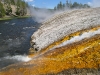 Geyser runoff into Firehole River IMG_1874