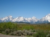 Tetons IMG_2016