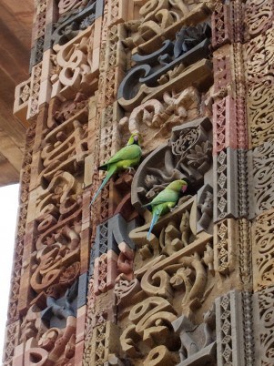 Parakeets in bas relief near arch, Qutub Minar